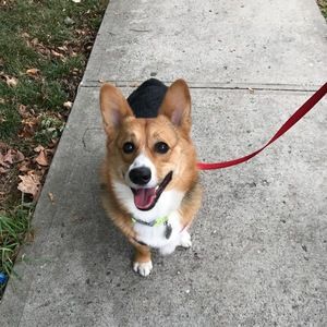 Meet your Posher, Joanna